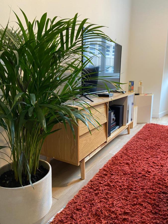La Palmeraie - Appartement Classe 4 Etoiles - Hyper Centre Ville Quimper Dış mekan fotoğraf